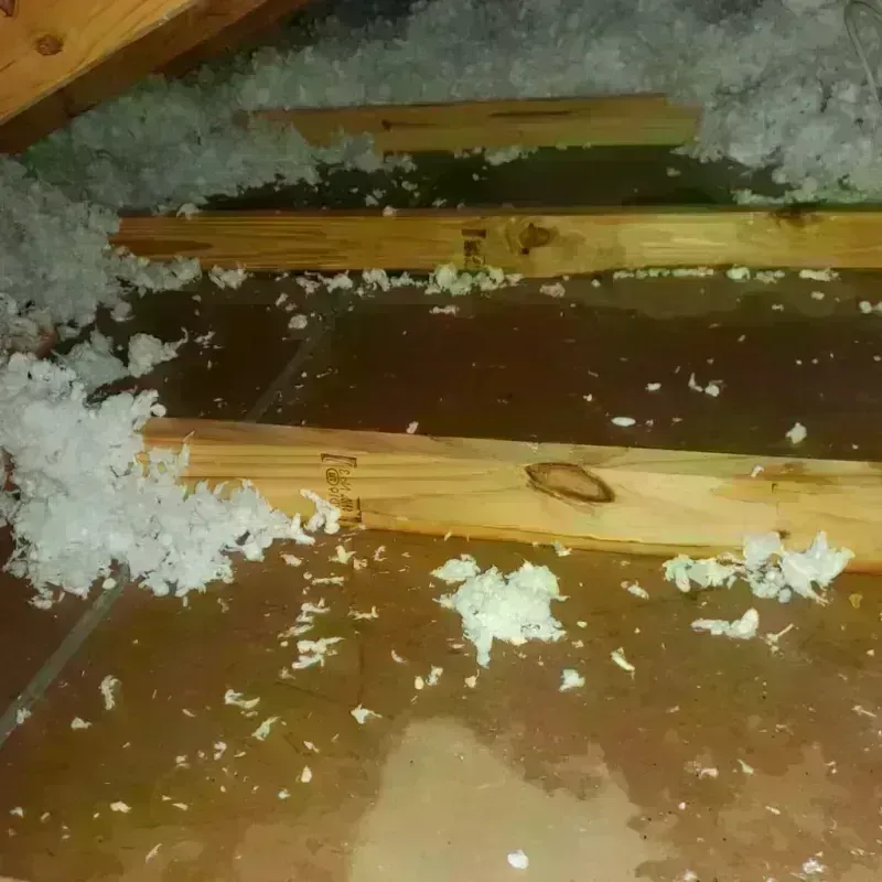 Attic Water Damage in Banner County, NE